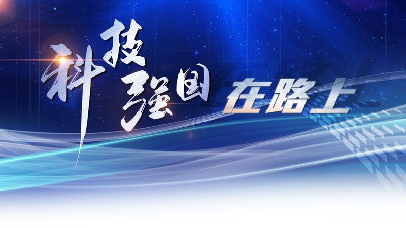 数据仓库建模：构建高效数据的艺术**