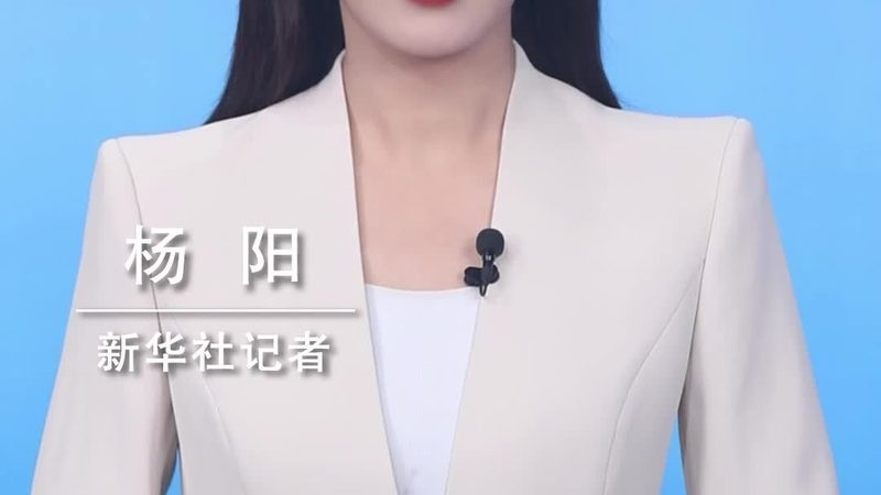 企业数字化平台搭建：选型背后的逻辑与考量