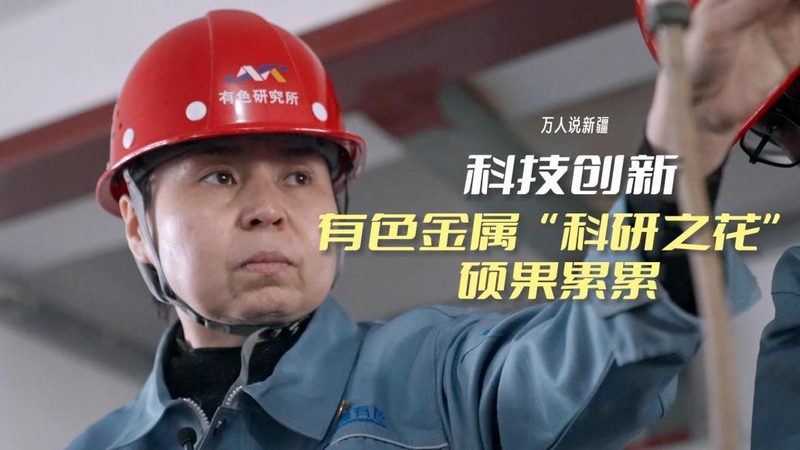 数据湖与数据仓库：揭秘两者技术差异与适用场景